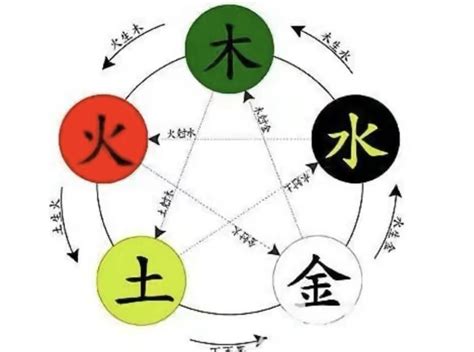 莉五行|莉字的五行属性